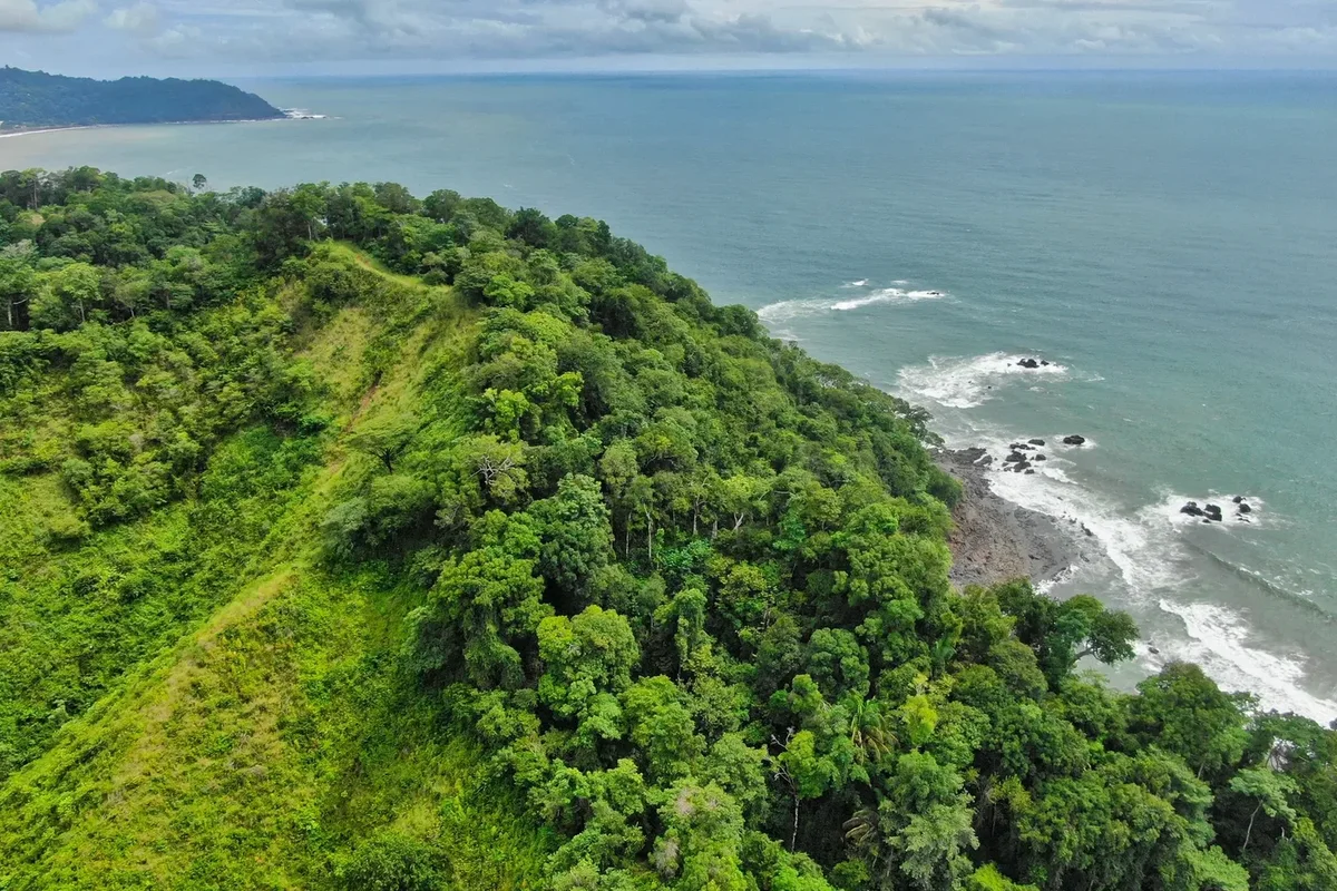 Manuel Antonio & Quepos Getaway: A 3- to 4-Night Beach, Wildlife & Catamaran Escape