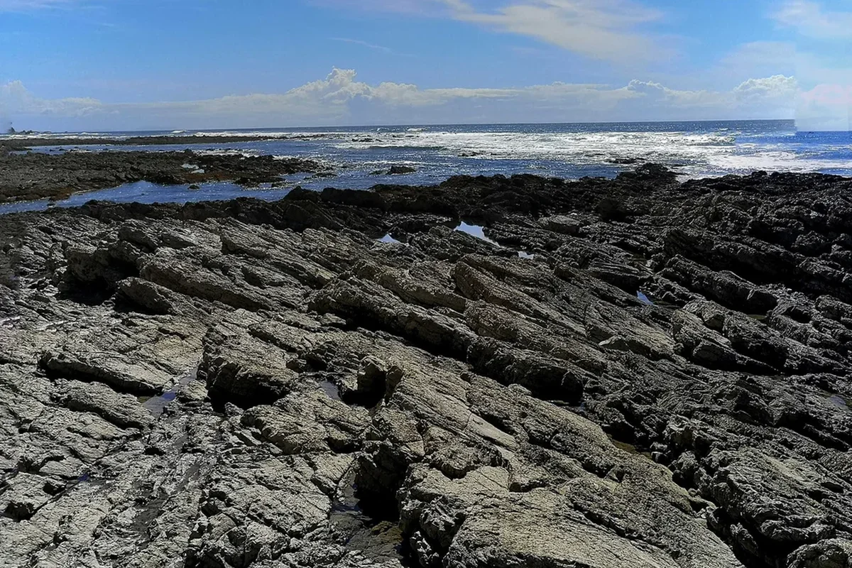 Puerto Viejo & Cahuita Caribbean Getaway: Coral Reefs, Sloths & Best Months to Visit