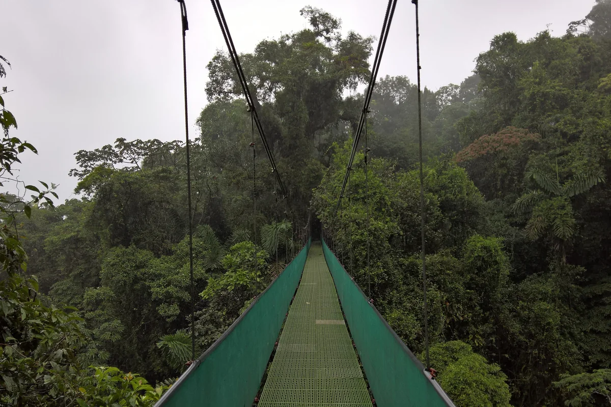 Choosing One Destination vs. Combining Two: The Honest Costa Rica Split-Stay Guide