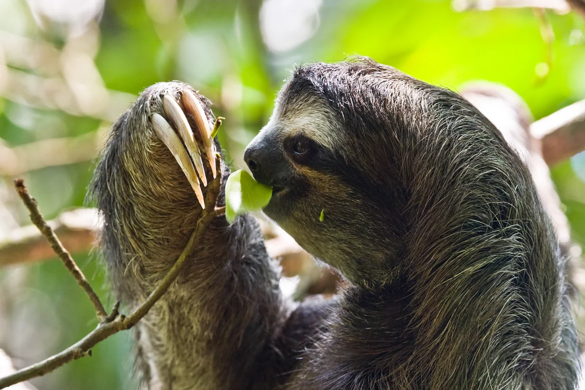 Family Getaways in Costa Rica with Manageable Travel Days & Clear Age Rules