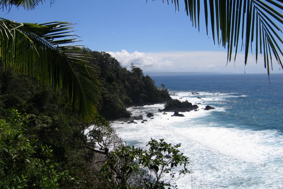 Caño Island Biological Reserve Small-Group Snorkeling Tour from Drake Bay