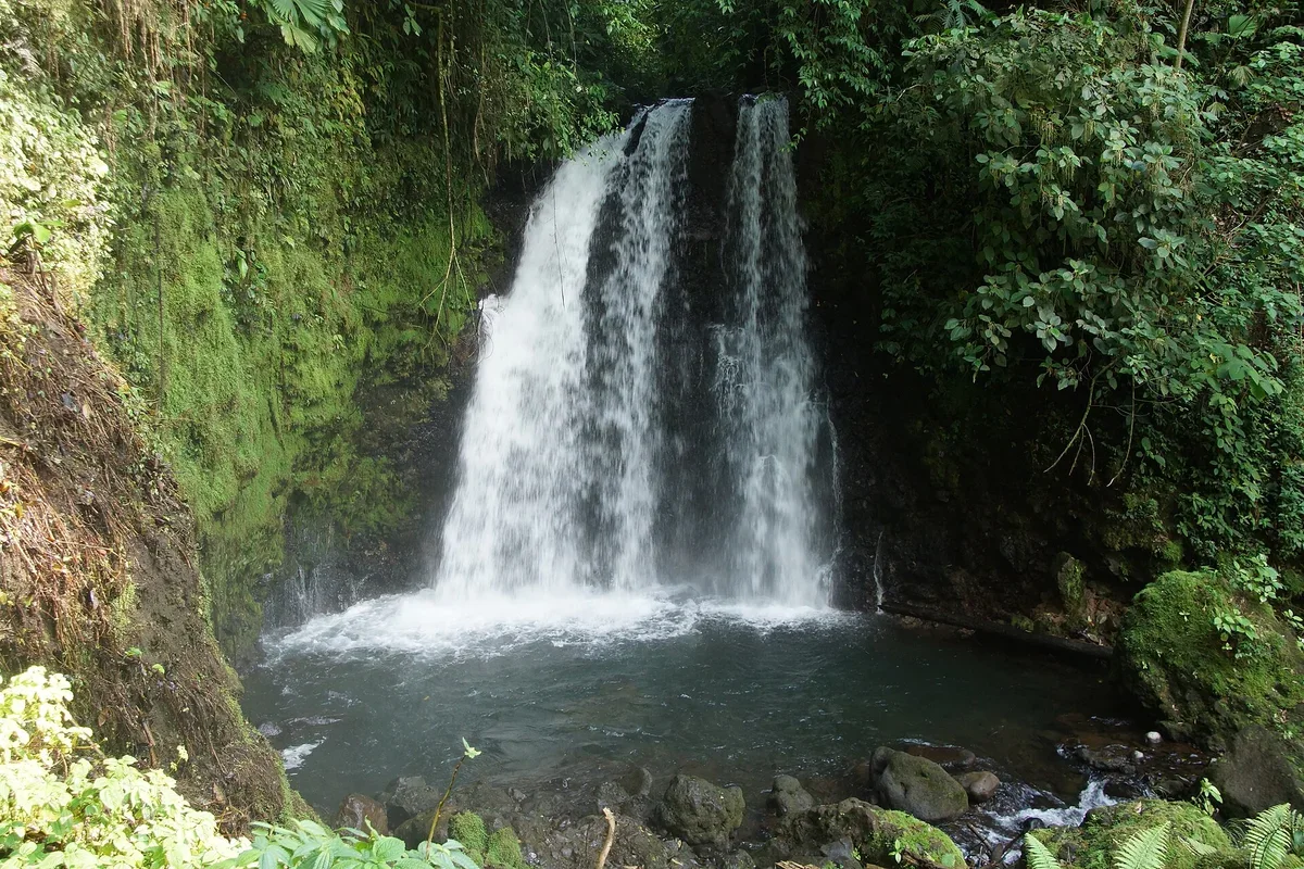 Balsa River White Water Rafting Class II–III from La Fortuna